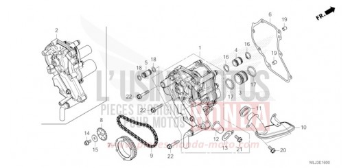 POMPE A HUILE GL1800BDP de 2023